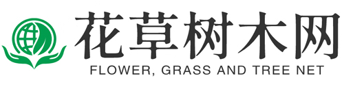 中国花草树木网